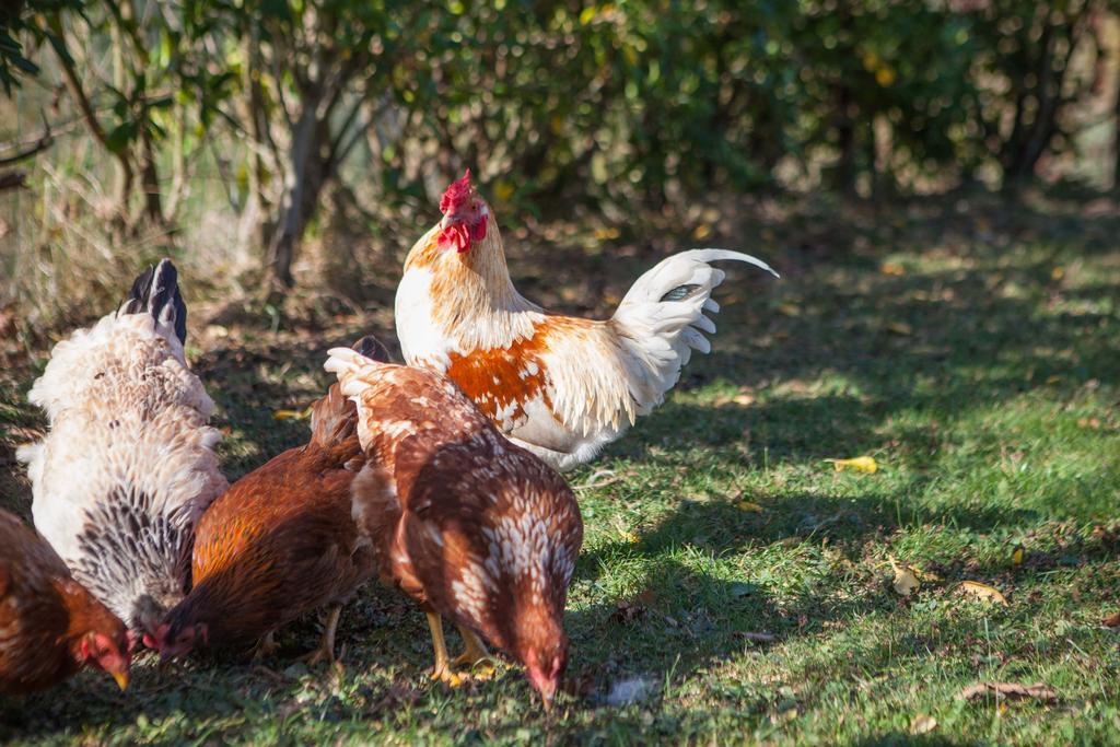 Appartamento Gorosarri Escoriaza Esterno foto