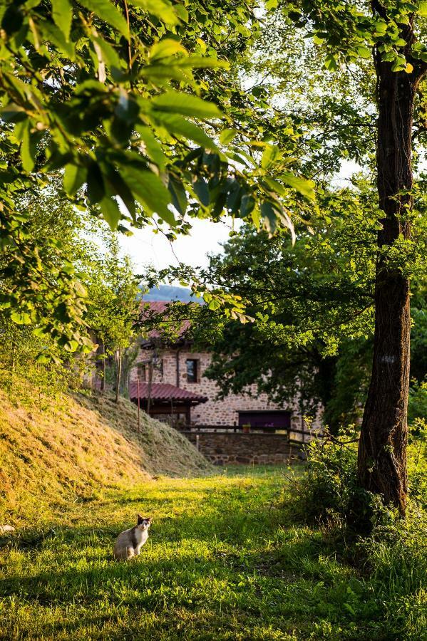 Appartamento Gorosarri Escoriaza Esterno foto